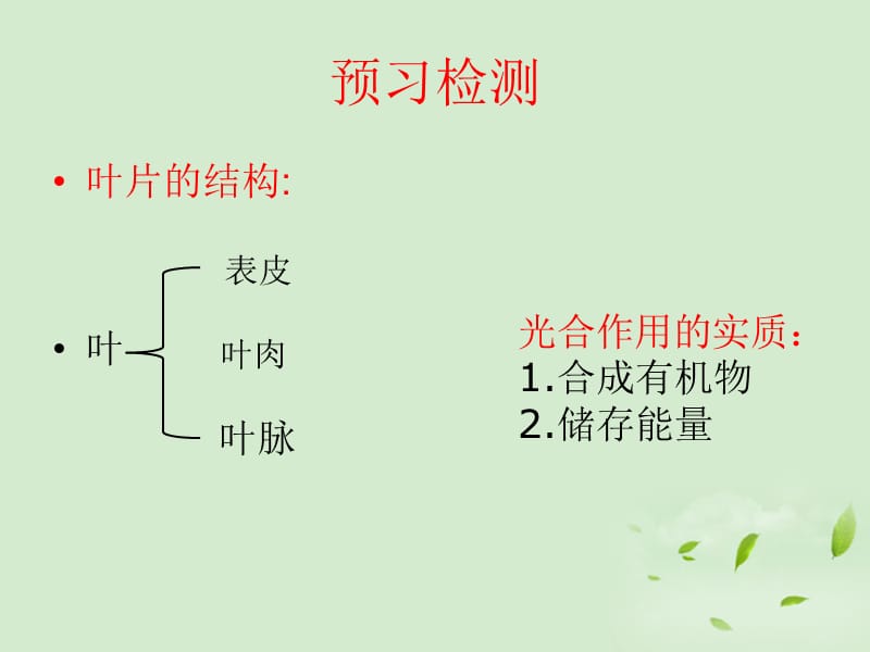 《光合作用的场所》PPT课件.ppt_第3页