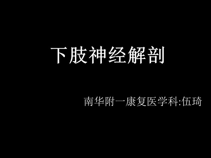 《下肢神经解剖》PPT课件.ppt_第1页