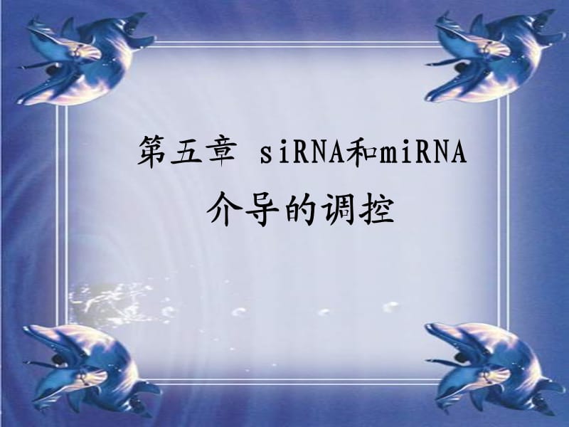 《siRNA和miRNA》PPT课件.ppt_第1页