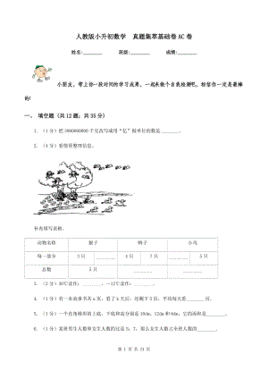 人教版小升初數(shù)學(xué) 真題集萃基礎(chǔ)卷AC卷.doc