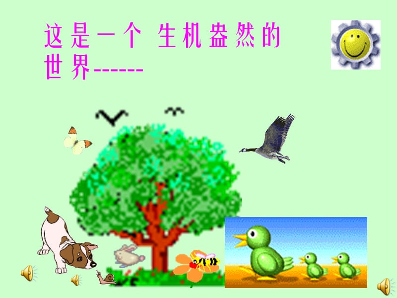 動物在自然界中的作用.ppt_第1頁