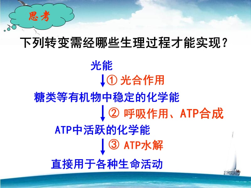 光合作用捕获光能的色素和结构.ppt_第2页