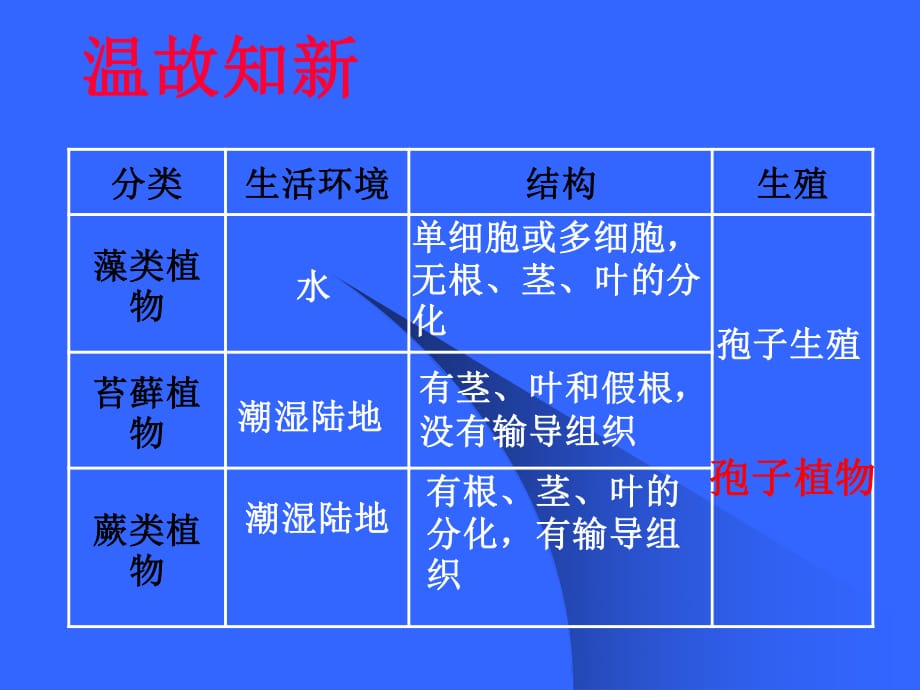 《種子植物》課件課件.ppt_第1頁(yè)