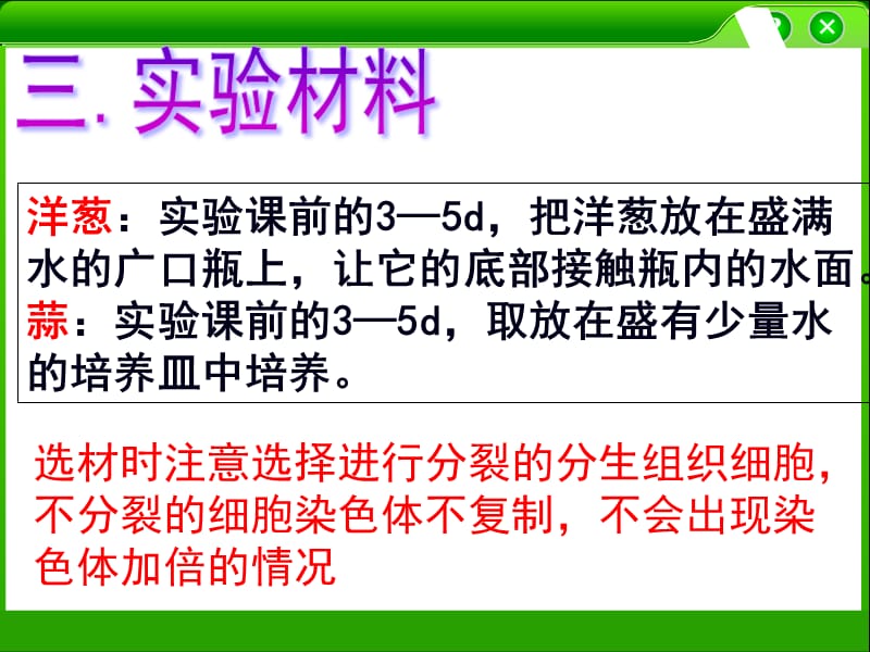 低温诱导染色体加倍.ppt_第3页