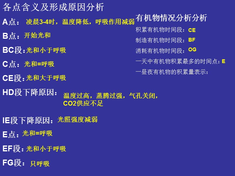 光合作用和呼吸作用综合曲线.ppt_第1页