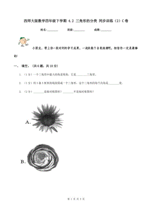 西師大版數(shù)學四年級下學期 4.2 三角形的分類 同步訓(xùn)練（2）C卷.doc