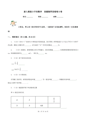 新人教版小升初數(shù)學 真題集萃易錯卷B卷.doc