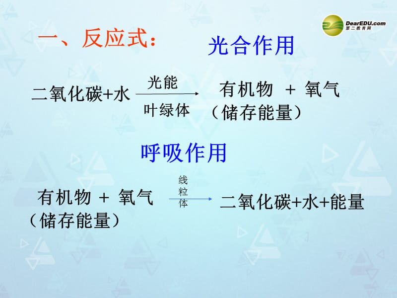 光合作用和呼吸作用复习课件.ppt_第3页