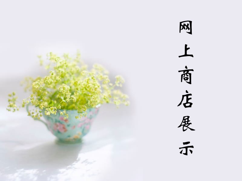 《網(wǎng)上商店展示》PPT課件.ppt_第1頁(yè)