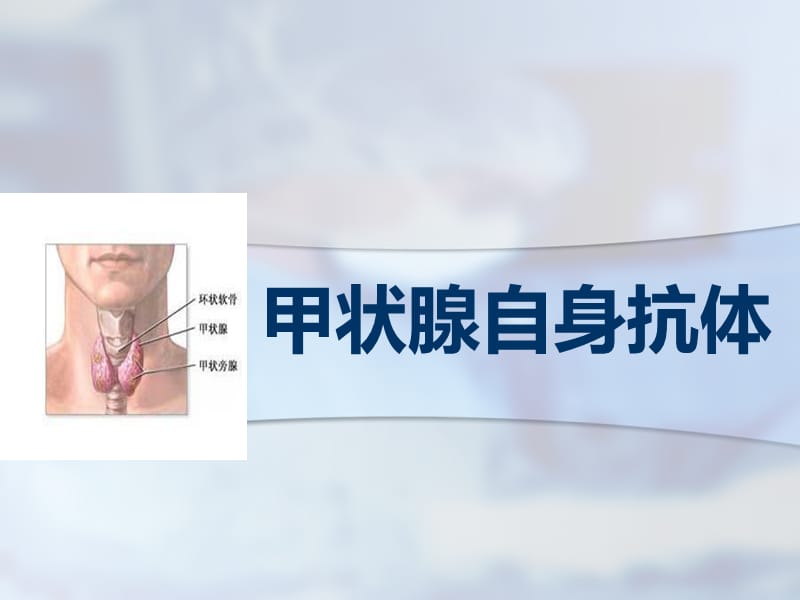 《甲狀腺自身抗體》PPT課件.ppt_第1頁(yè)