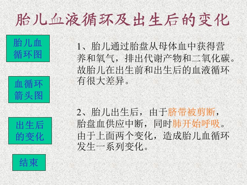 《胎儿血流动态图》PPT课件.ppt_第1页