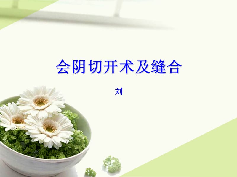 会阴切开术及缝合.ppt_第1页