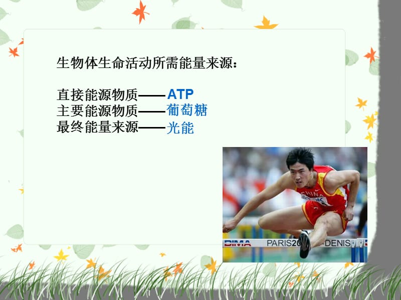 光合作用和呼吸作用.ppt_第1页