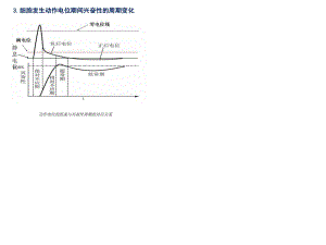 動作電位的組成與.ppt