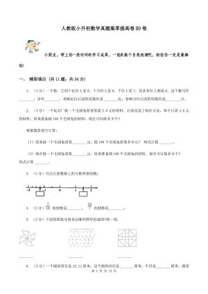 人教版小升初數(shù)學(xué)真題集萃提高卷BD卷.doc