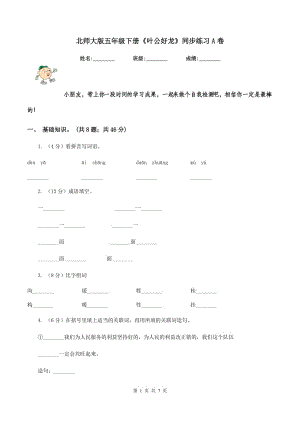 北師大版五年級下冊《葉公好龍》同步練習A卷.doc