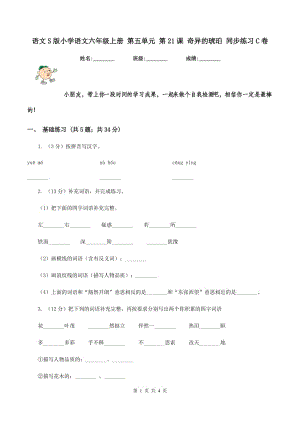 語文S版小學(xué)語文六年級上冊 第五單元 第21課 奇異的琥珀 同步練習(xí)C卷.doc