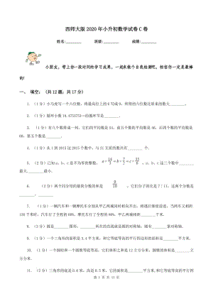 西师大版2020年小升初数学试卷C卷 (2).doc