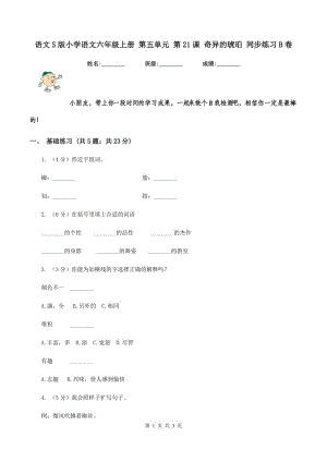 語文S版小學(xué)語文六年級上冊 第五單元 第21課 奇異的琥珀 同步練習(xí)B卷.doc