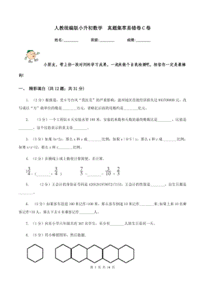 人教統(tǒng)編版小升初數(shù)學(xué) 真題集萃易錯卷C卷.doc