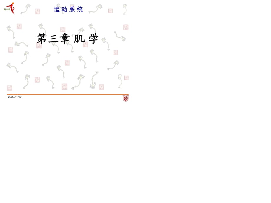 系统解剖学第三章肌学.ppt_第1页