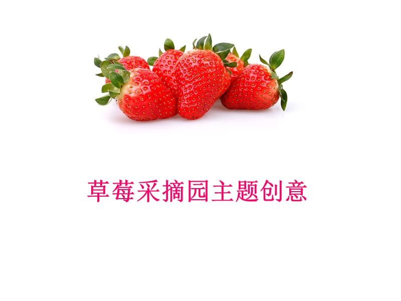 草莓采摘园项目规划.ppt_第1页