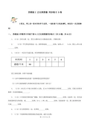 蘇教版2 正比例圖像 同步練習(xí) B卷.doc