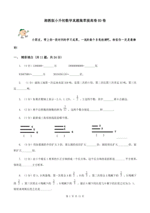 湘教版小升初數(shù)學(xué)真題集萃提高卷BD卷.doc