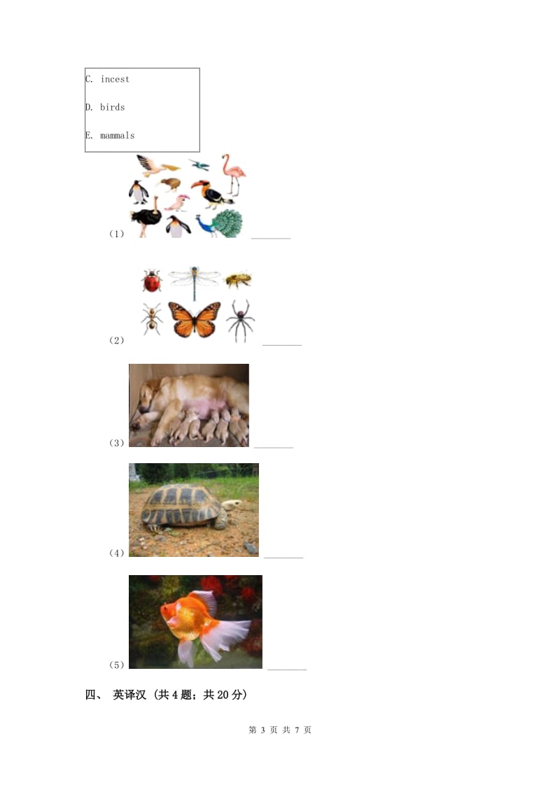 人教版（新起点）小学英语六年级下册Unit 5 Nature and Culture Lesson 3同步练习.doc_第3页