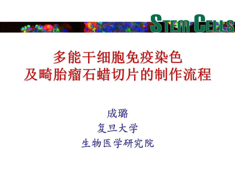 细胞免疫染色及畸胎瘤切片的制作流程.ppt_第1页