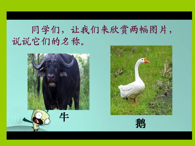 语文第十册《牛和鹅》ppt课件.ppt_第1页