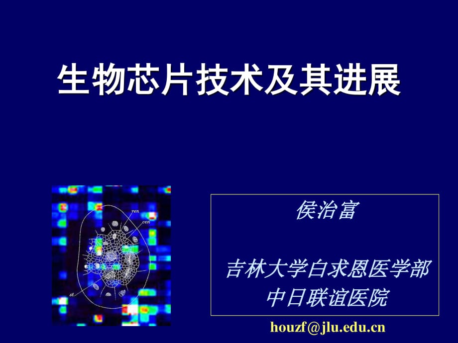 生物芯片技術及其進展.ppt_第1頁