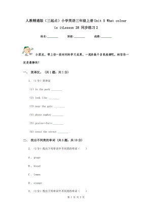 人教精通版（三起點(diǎn)）小學(xué)英語(yǔ)三年級(jí)上冊(cè)Unit 5 What colour is itLesson 28 同步練習(xí)2.doc