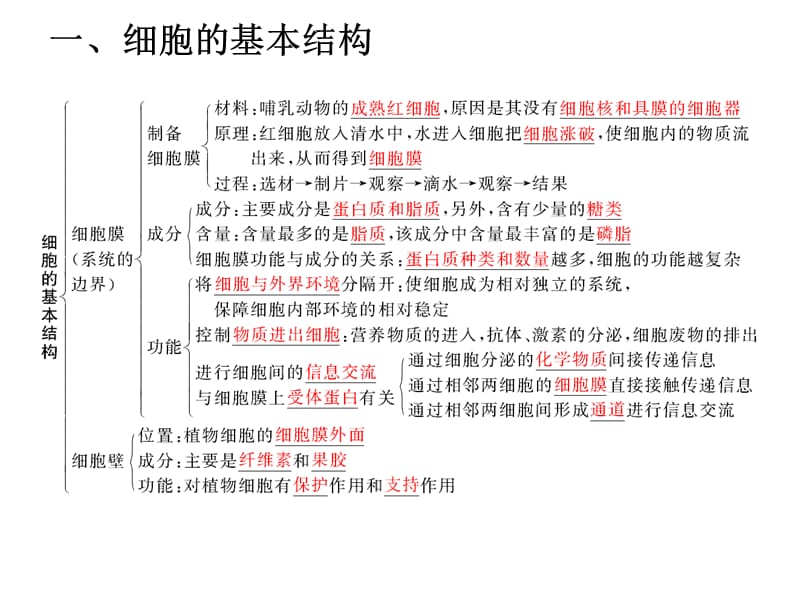 细胞结构知识框架.ppt_第1页