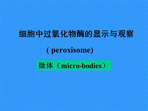 過氧化物酶的顯示和觀察.ppt