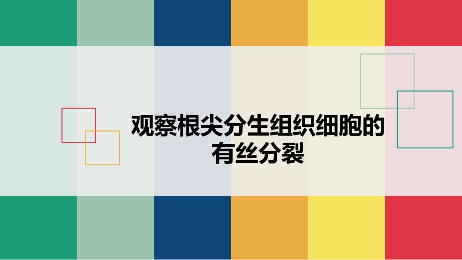 觀察根尖分生組織細(xì)胞的有絲分裂課件.ppt_第1頁