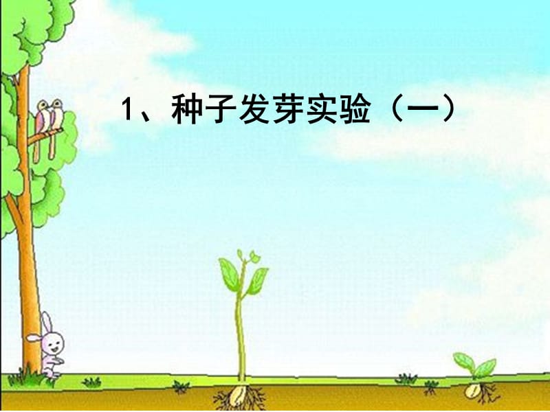 種子發(fā)芽試驗(一).ppt_第1頁