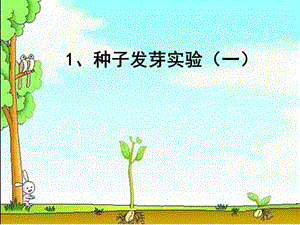 種子發(fā)芽試驗(一).ppt