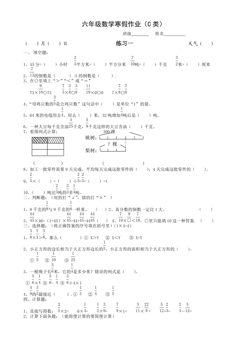 六年级数学寒假作业(C类).doc_第1页