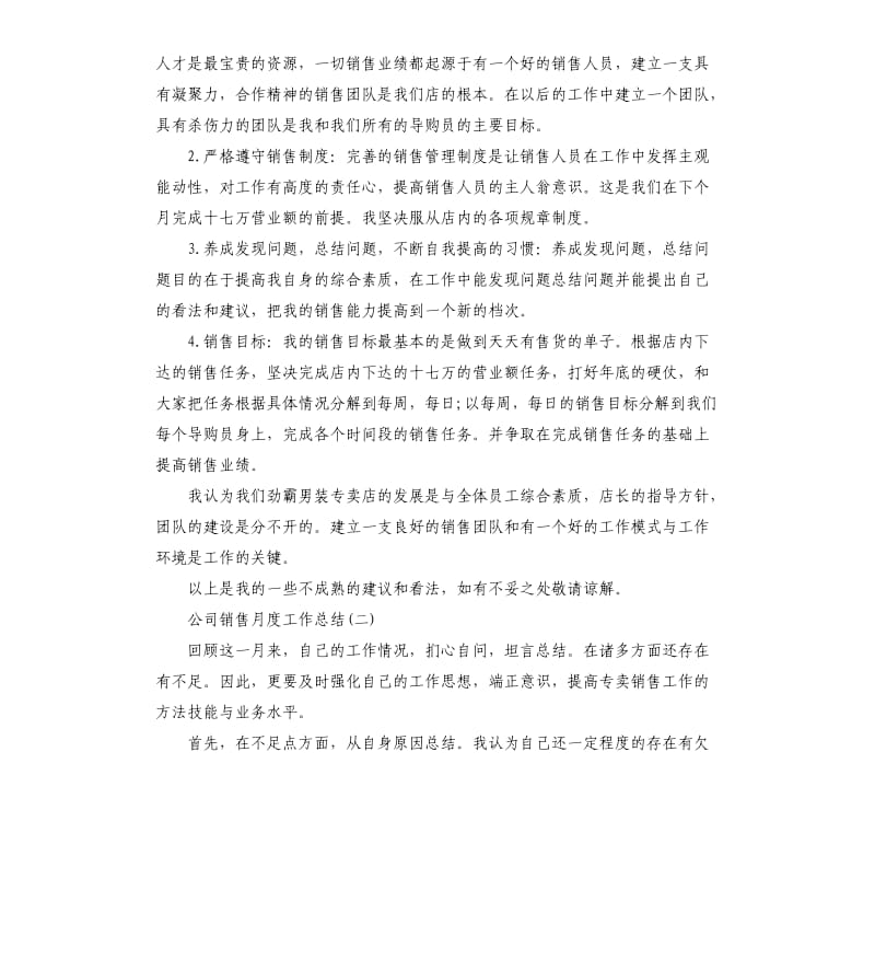 公司销售月度工作总结.docx_第2页