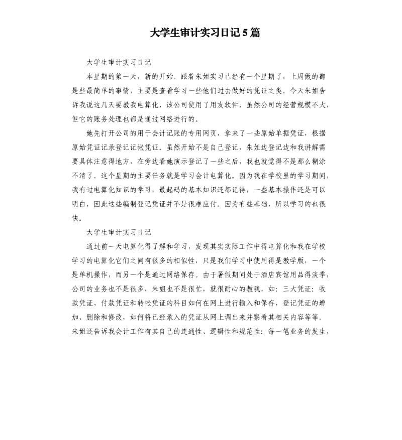 大学生审计实习日记5篇.docx_第1页