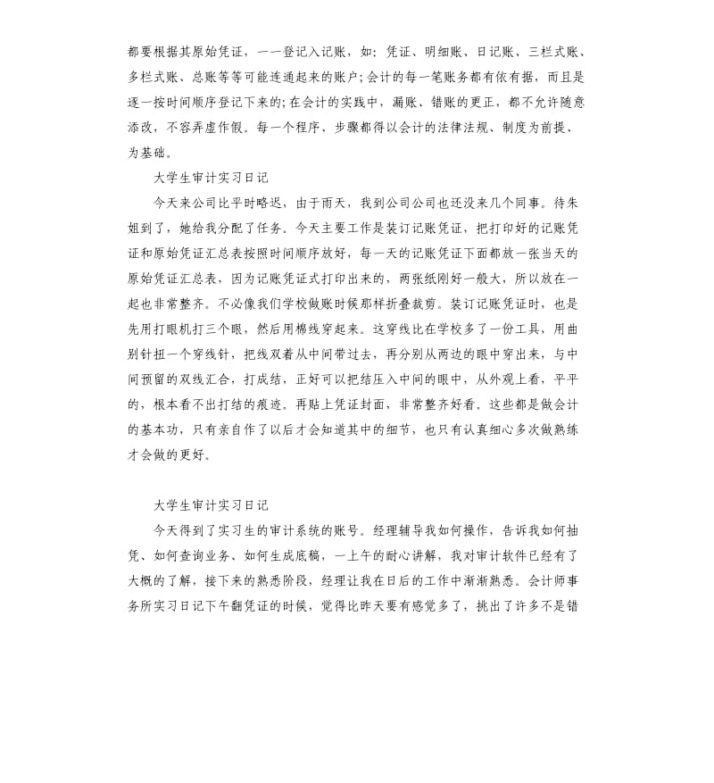 大学生审计实习日记5篇.docx_第2页