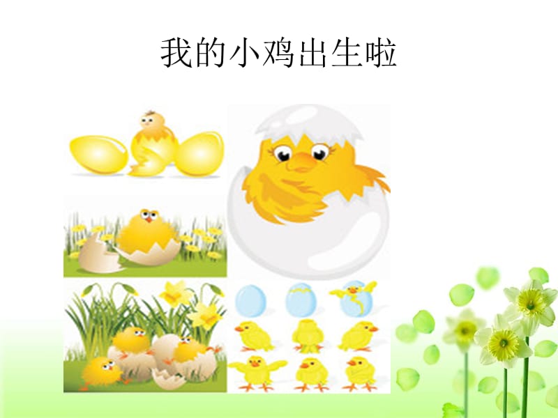 小学音乐我的小鸡 课件1ppt_第3页