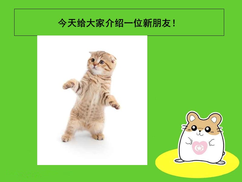 小学音乐跳圆舞曲的小猫 课件1ppt_第3页