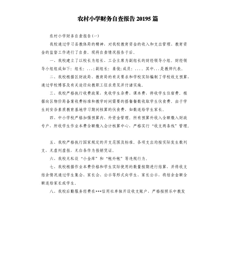 农村小学财务自查报告20195篇.docx_第1页