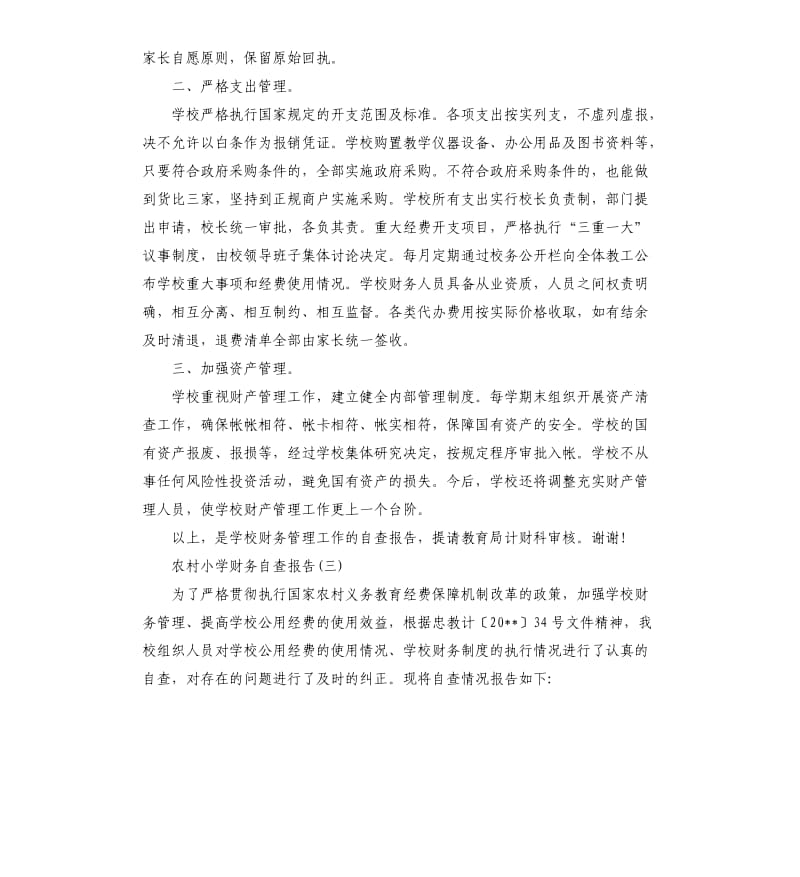 农村小学财务自查报告20195篇.docx_第3页