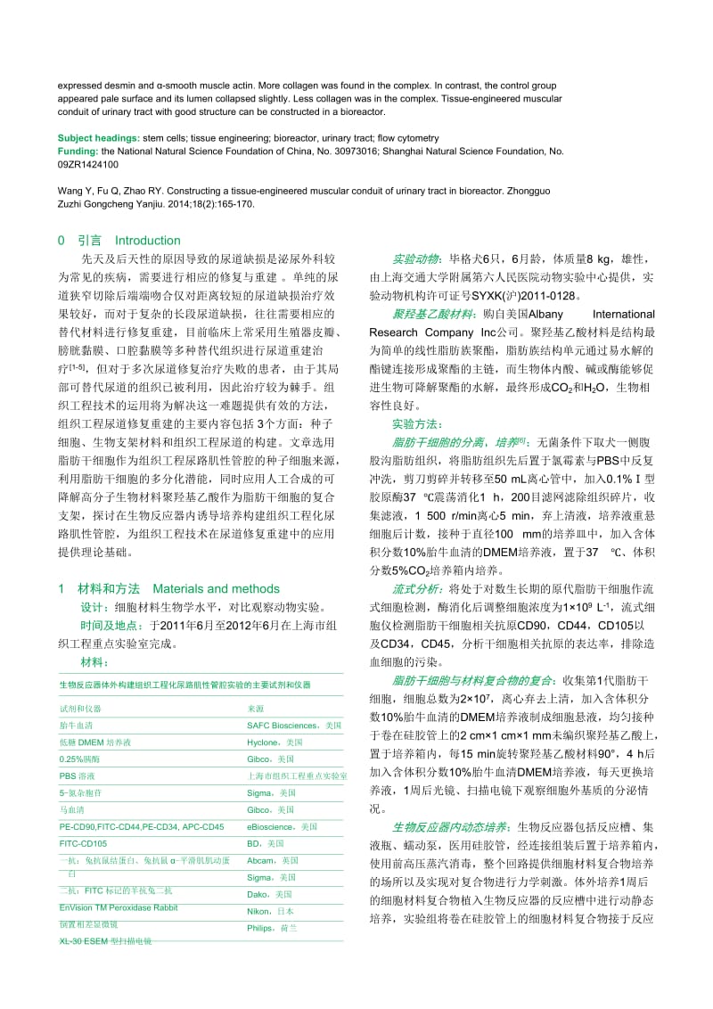 生物反应器体外构建组织工程化尿路肌性管腔.doc_第2页