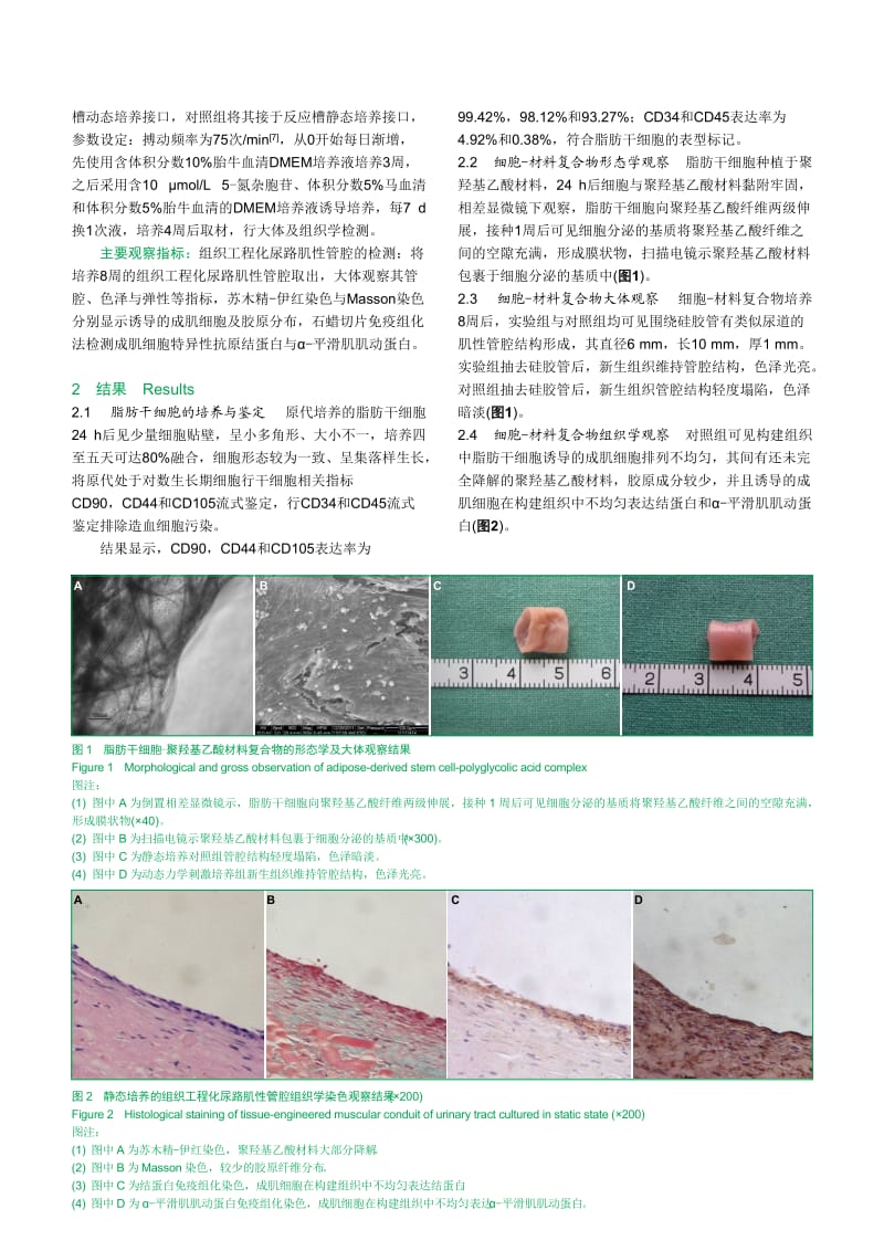 生物反应器体外构建组织工程化尿路肌性管腔.doc_第3页