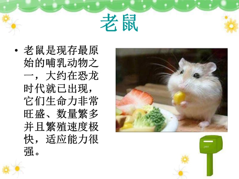 小学音乐老鼠和大象 课件 (2)ppt_第3页