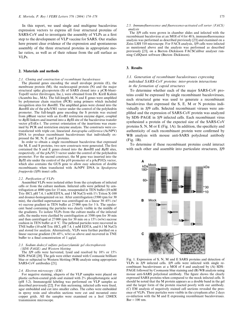 【病毒外文文献】2004 Efficient assembly and release of SARS coronavirus-like particles by a heterologous expression system_第2页